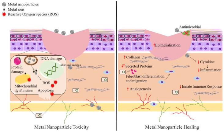 https://cdn.ncbi.nlm.nih.gov/pmc/blobs/6bb8/8143158/ee02eeb75eba/antibiotics-10-00473-g002.jpg