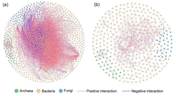 https://cdn.ncbi.nlm.nih.gov/pmc/blobs/6bba/11302206/1cfb2d9470d9/12866_2024_3450_Fig5_HTML.jpg