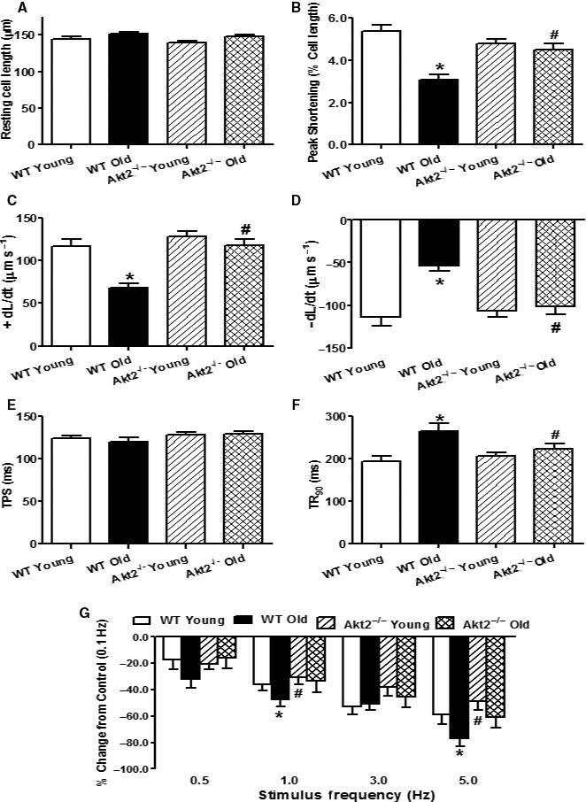 https://cdn.ncbi.nlm.nih.gov/pmc/blobs/6bbe/5595687/34e654a6ae38/ACEL-16-976-g002.jpg
