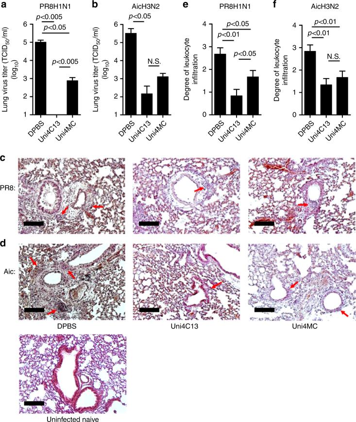 https://cdn.ncbi.nlm.nih.gov/pmc/blobs/6bbe/5783933/1dfb29add295/41467_2017_2725_Fig5_HTML.jpg