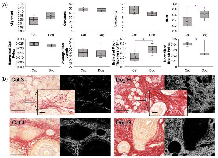 https://cdn.ncbi.nlm.nih.gov/pmc/blobs/6bbf/10669533/b0fbb19e32a3/bioengineering-10-01285-g002.jpg