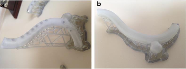 https://cdn.ncbi.nlm.nih.gov/pmc/blobs/6bbf/6377684/18e855751b62/41747_2018_83_Fig5_HTML.jpg