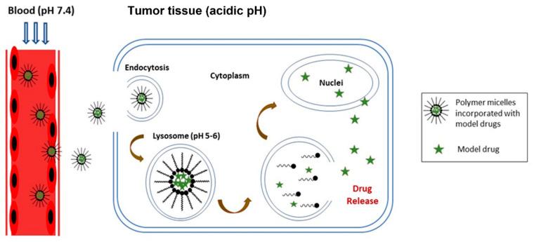 https://cdn.ncbi.nlm.nih.gov/pmc/blobs/6bc1/9102459/094068b22cc3/polymers-14-01672-g013.jpg
