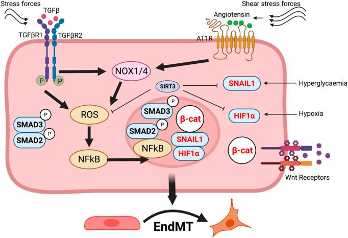 https://cdn.ncbi.nlm.nih.gov/pmc/blobs/6bc2/12023289/5b4342ee4d03/fphar-16-1563047-g003.jpg
