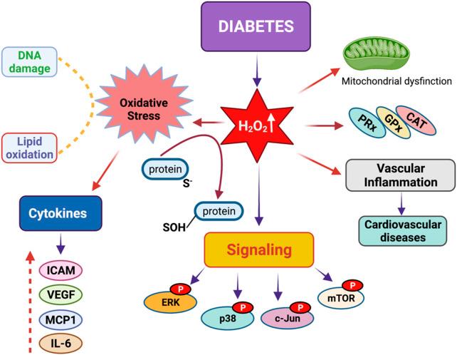 https://cdn.ncbi.nlm.nih.gov/pmc/blobs/6bc2/12023289/c2463dbf1969/fphar-16-1563047-g002.jpg