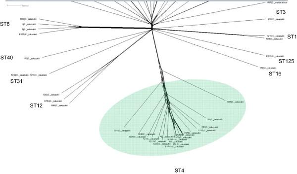 https://cdn.ncbi.nlm.nih.gov/pmc/blobs/6bc2/4377842/51835934de42/12864_2014_6836_Fig5_HTML.jpg