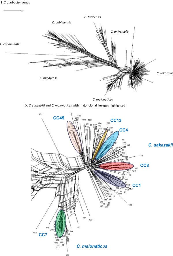 https://cdn.ncbi.nlm.nih.gov/pmc/blobs/6bc2/4377842/67bc675ebb40/12864_2014_6836_Fig3_HTML.jpg