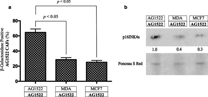 https://cdn.ncbi.nlm.nih.gov/pmc/blobs/6bc2/7912493/38f0b2e1b9a2/12964_2021_711_Fig5_HTML.jpg