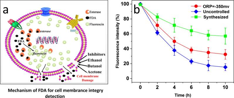 https://cdn.ncbi.nlm.nih.gov/pmc/blobs/6bc3/9238237/a816b60fb334/12934_2022_1824_Fig6_HTML.jpg
