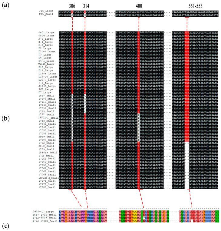 https://cdn.ncbi.nlm.nih.gov/pmc/blobs/6bc5/11050567/481be498b6f2/ijms-25-04236-g006.jpg