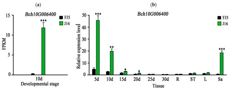 https://cdn.ncbi.nlm.nih.gov/pmc/blobs/6bc5/11050567/9f658c3dad91/ijms-25-04236-g005.jpg