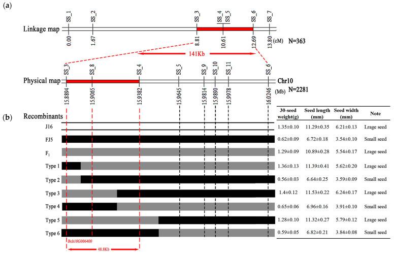 https://cdn.ncbi.nlm.nih.gov/pmc/blobs/6bc5/11050567/b76024d28855/ijms-25-04236-g004.jpg