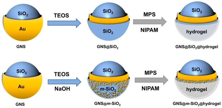 https://cdn.ncbi.nlm.nih.gov/pmc/blobs/6bc5/6678574/cd534a9f5b8f/ijms-20-03422-sch001.jpg