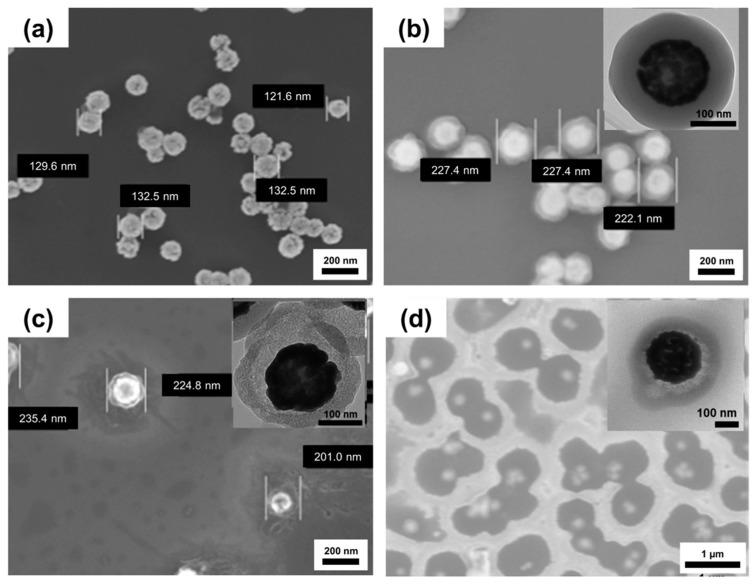 https://cdn.ncbi.nlm.nih.gov/pmc/blobs/6bc5/6678574/f66c5c1da368/ijms-20-03422-g001.jpg