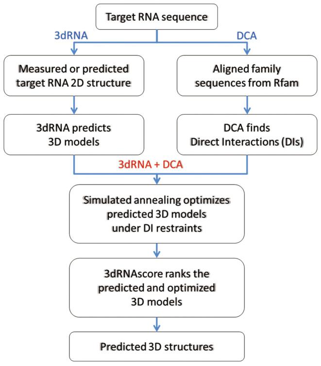 https://cdn.ncbi.nlm.nih.gov/pmc/blobs/6bc7/5499770/a8f6cf12ea83/gkx386fig1.jpg
