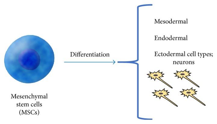 https://cdn.ncbi.nlm.nih.gov/pmc/blobs/6bc7/5671750/5eedf004634e/SCI2017-3267352.005.jpg