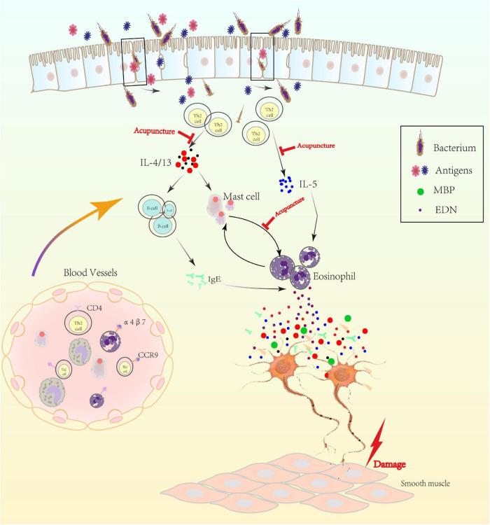 https://cdn.ncbi.nlm.nih.gov/pmc/blobs/6bc7/8822151/39fb66a35648/fnins-15-781215-g002.jpg