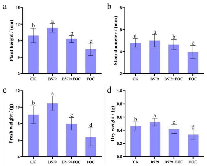 https://cdn.ncbi.nlm.nih.gov/pmc/blobs/6bc8/12196314/cf32ea717a06/microorganisms-13-01382-g002.jpg