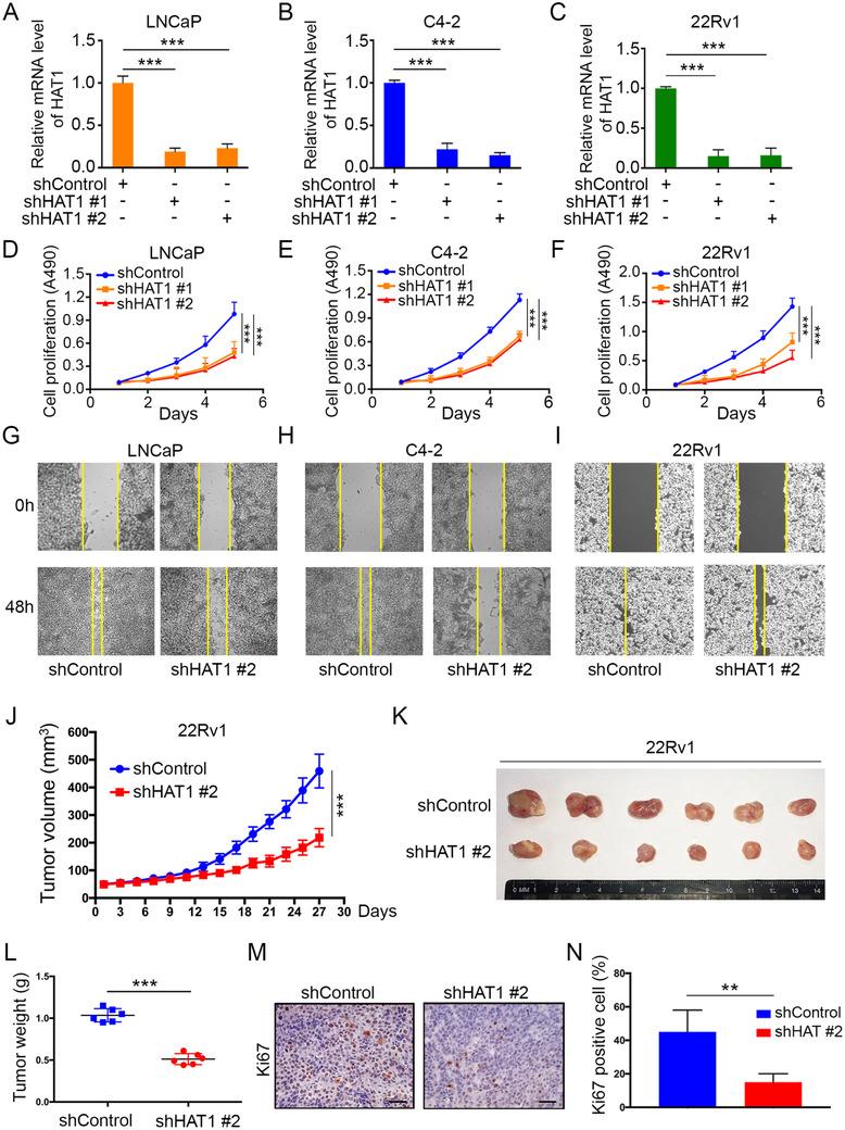 https://cdn.ncbi.nlm.nih.gov/pmc/blobs/6bc9/8299045/7ee6598f49d2/CTM2-11-e495-g001.jpg
