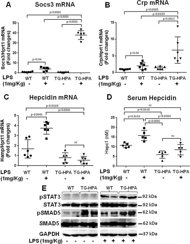 https://cdn.ncbi.nlm.nih.gov/pmc/blobs/6bcb/5053418/e17ff9a20a6e/pone.0164183.g008.jpg