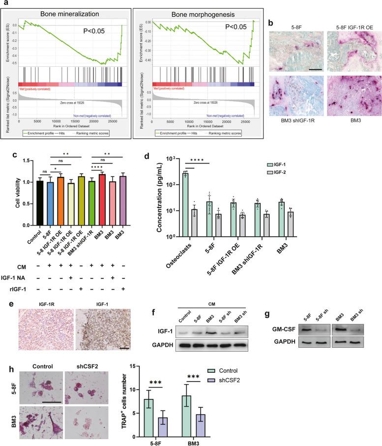 https://cdn.ncbi.nlm.nih.gov/pmc/blobs/6bcc/10860326/5dd51fd9a32e/13046_2024_2970_Fig3_HTML.jpg