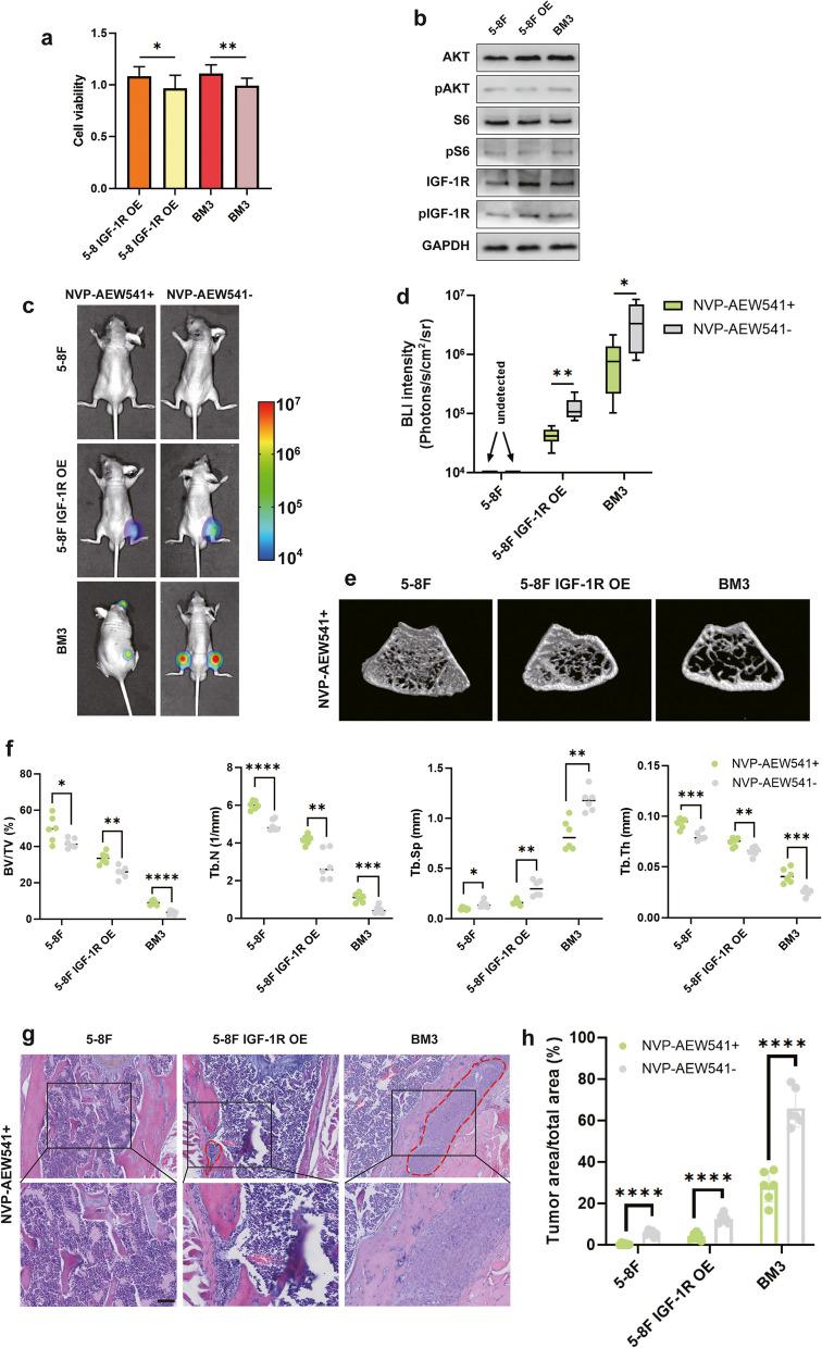 https://cdn.ncbi.nlm.nih.gov/pmc/blobs/6bcc/10860326/a49dd02cd8cd/13046_2024_2970_Fig6_HTML.jpg