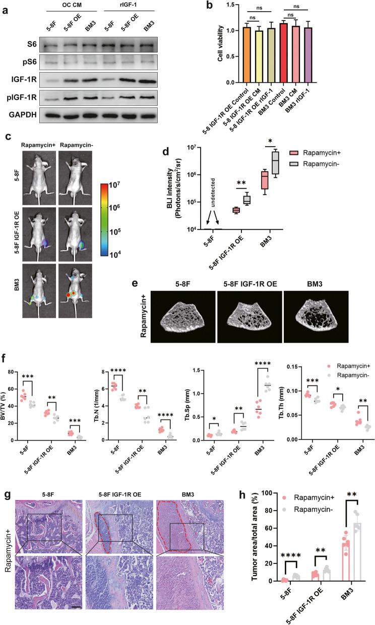 https://cdn.ncbi.nlm.nih.gov/pmc/blobs/6bcc/10860326/bac6e9708aec/13046_2024_2970_Fig5_HTML.jpg