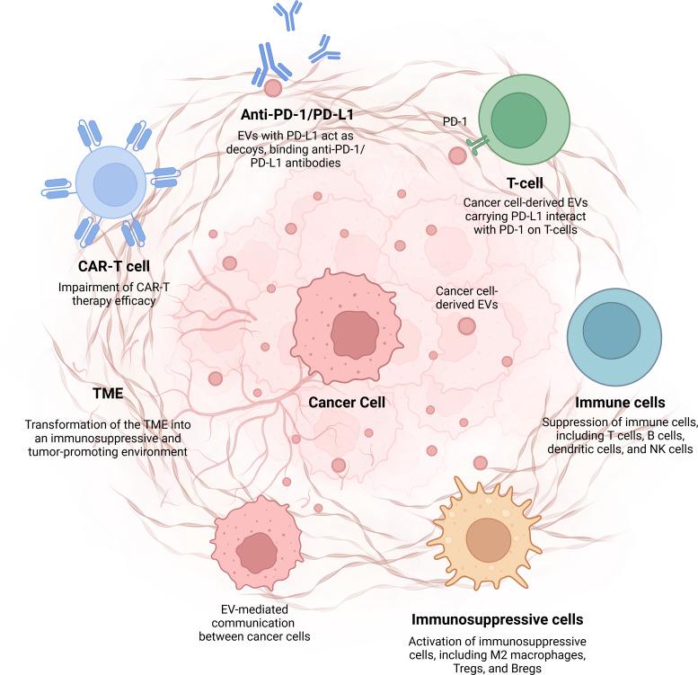 https://cdn.ncbi.nlm.nih.gov/pmc/blobs/6bcc/12198139/4d7c814ffc73/fimmu-16-1601266-g001.jpg