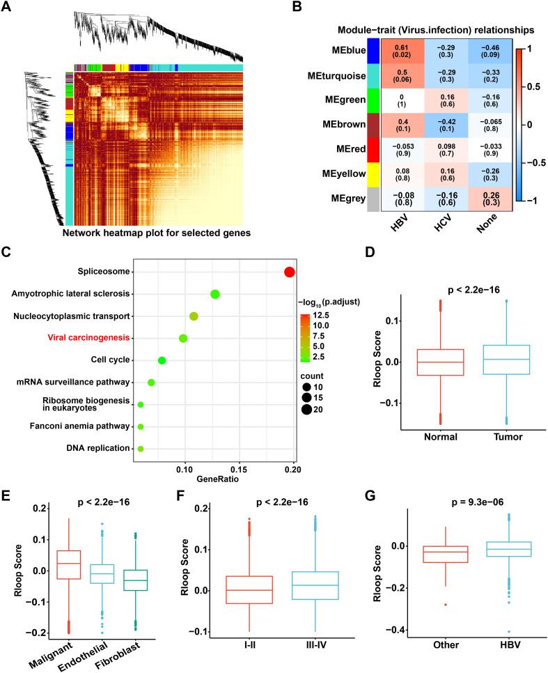 https://cdn.ncbi.nlm.nih.gov/pmc/blobs/6bcd/11754264/2856e96a7f73/fimmu-15-1487372-g002.jpg