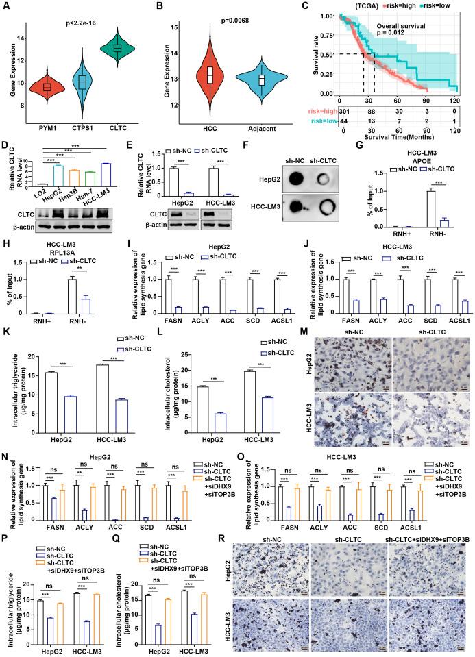 https://cdn.ncbi.nlm.nih.gov/pmc/blobs/6bcd/11754264/64bc65fd5a53/fimmu-15-1487372-g007.jpg