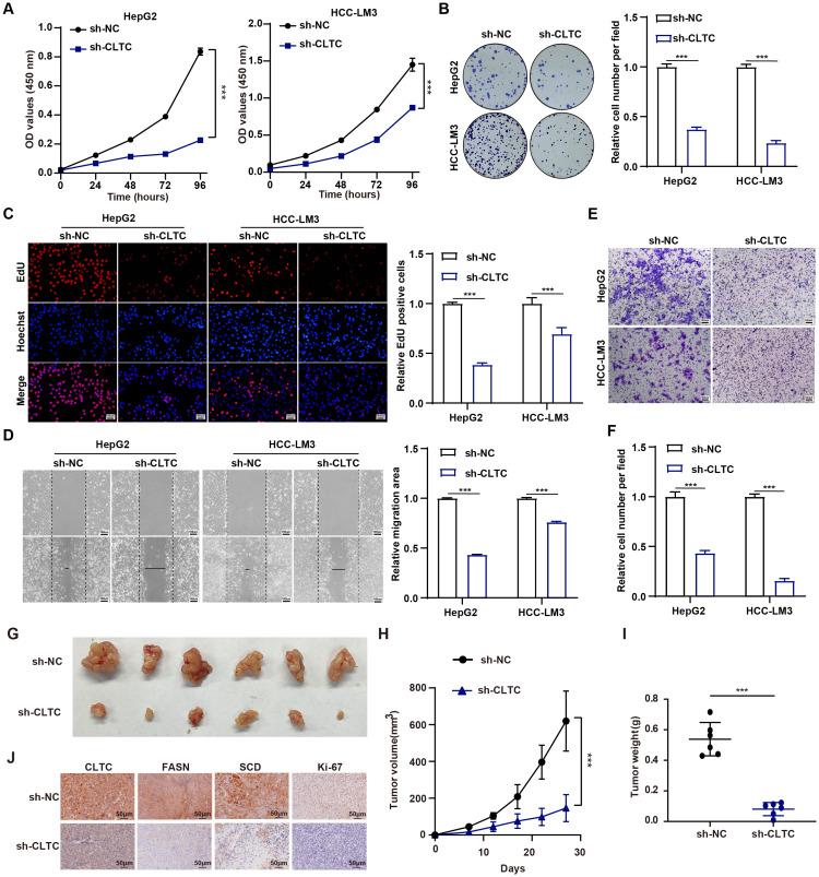https://cdn.ncbi.nlm.nih.gov/pmc/blobs/6bcd/11754264/c572b4fbbcd4/fimmu-15-1487372-g008.jpg