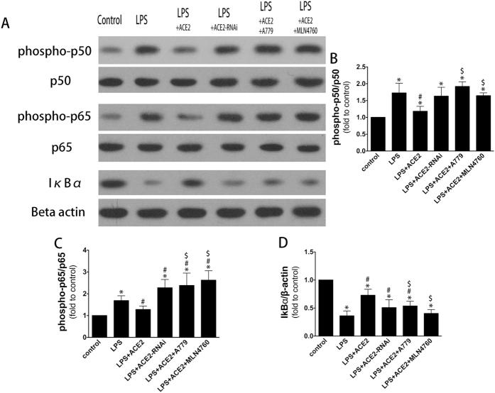 https://cdn.ncbi.nlm.nih.gov/pmc/blobs/6bcf/4908402/8c7b2404d51e/srep27911-f9.jpg