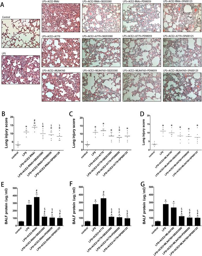 https://cdn.ncbi.nlm.nih.gov/pmc/blobs/6bcf/4908402/a8c2ca0ba161/srep27911-f7.jpg
