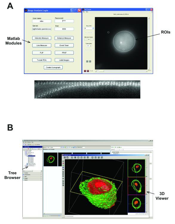 https://cdn.ncbi.nlm.nih.gov/pmc/blobs/6bd2/3437820/1d671eb7251c/ukmss-49221-f0003.jpg
