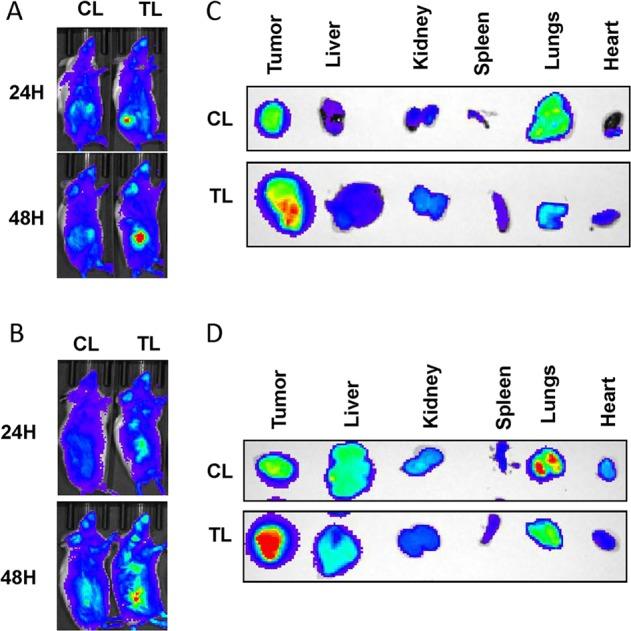 https://cdn.ncbi.nlm.nih.gov/pmc/blobs/6bd4/6895165/bab7d8b0c592/41698_2019_105_Fig1_HTML.jpg