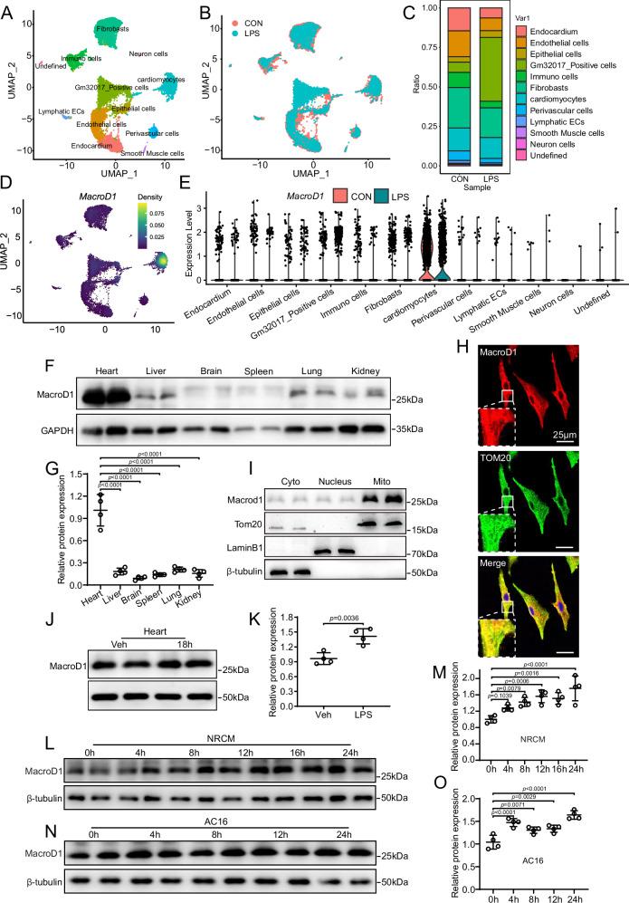 https://cdn.ncbi.nlm.nih.gov/pmc/blobs/6bd6/12398503/6c7501e0a045/41467_2025_62384_Fig1_HTML.jpg