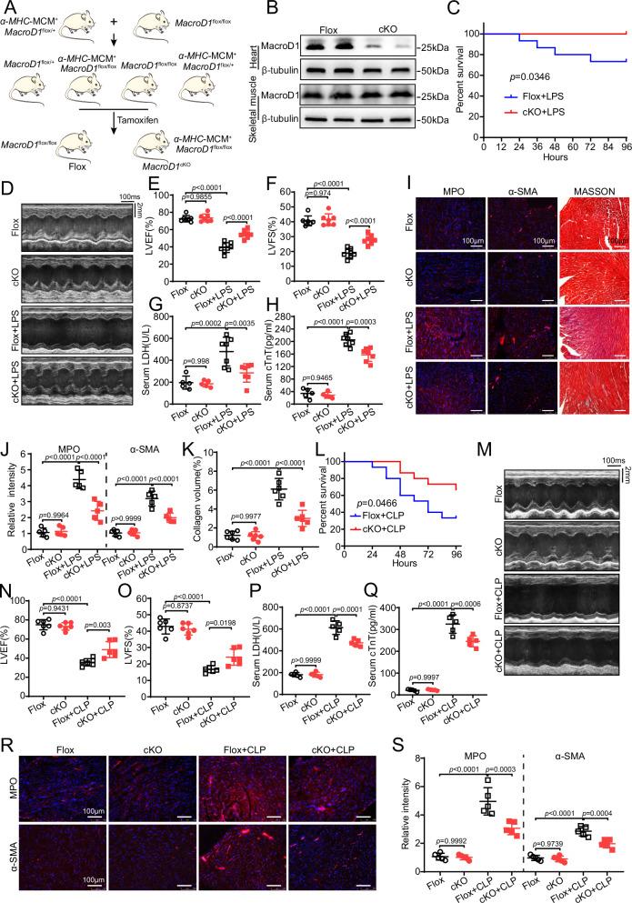 https://cdn.ncbi.nlm.nih.gov/pmc/blobs/6bd6/12398503/6ec65d08f09b/41467_2025_62384_Fig2_HTML.jpg