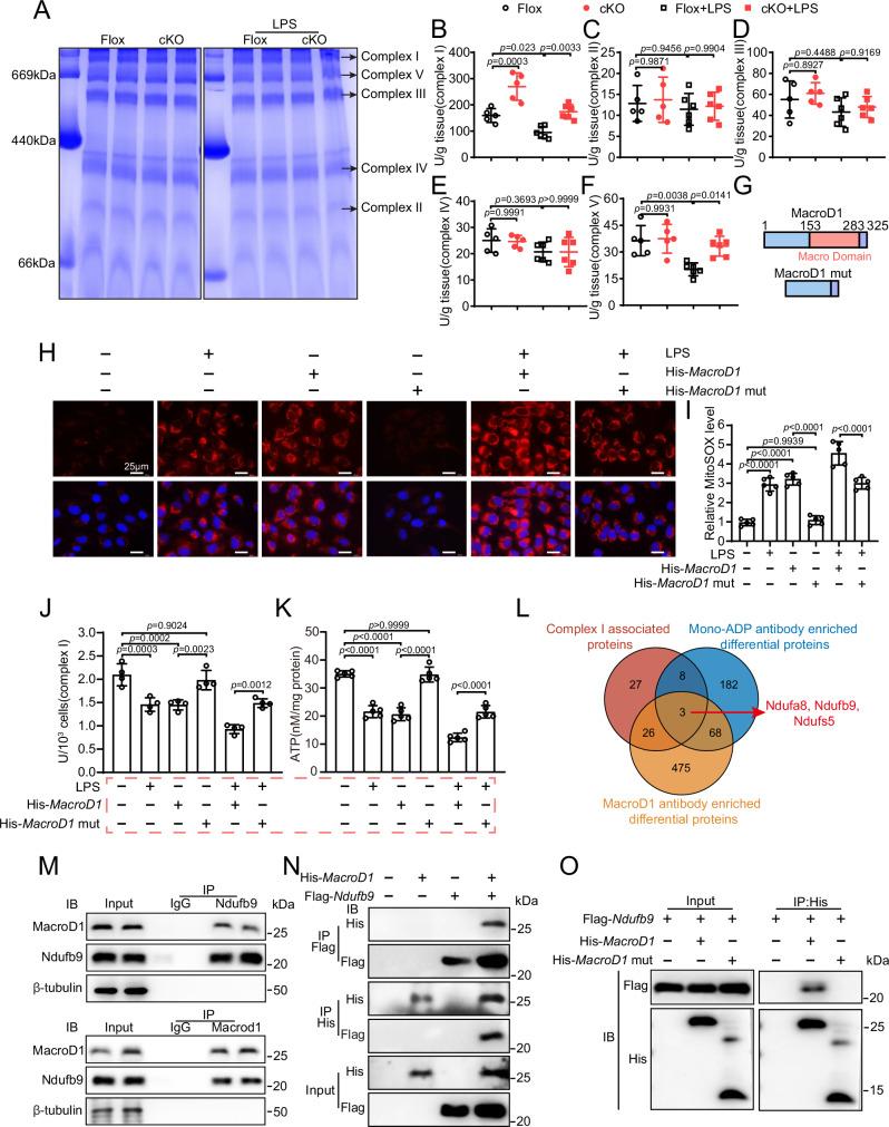 https://cdn.ncbi.nlm.nih.gov/pmc/blobs/6bd6/12398503/6f1acfa66791/41467_2025_62384_Fig5_HTML.jpg