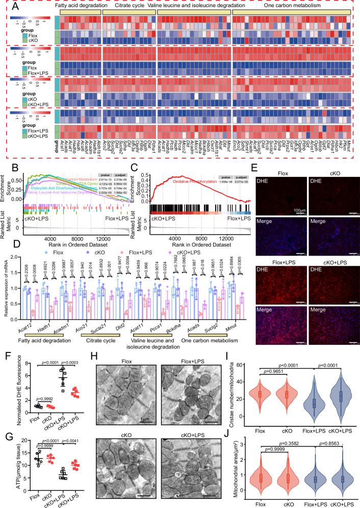 https://cdn.ncbi.nlm.nih.gov/pmc/blobs/6bd6/12398503/d131c0ed3004/41467_2025_62384_Fig3_HTML.jpg
