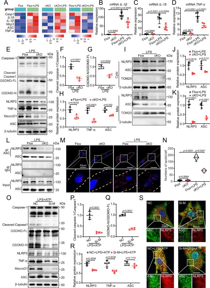 https://cdn.ncbi.nlm.nih.gov/pmc/blobs/6bd6/12398503/e20da54b9f90/41467_2025_62384_Fig7_HTML.jpg