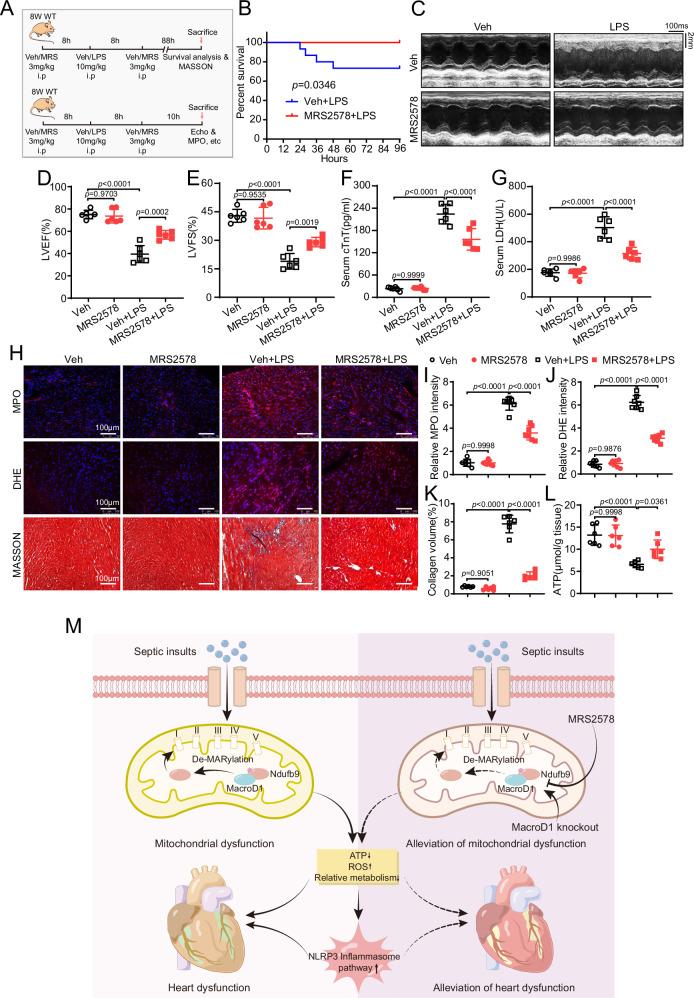 https://cdn.ncbi.nlm.nih.gov/pmc/blobs/6bd6/12398503/e9c4ce6a97b8/41467_2025_62384_Fig8_HTML.jpg