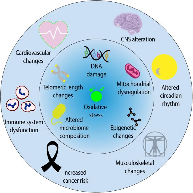 https://cdn.ncbi.nlm.nih.gov/pmc/blobs/6bd7/11166968/1705271afde3/41467_2023_44357_Fig2_HTML.jpg