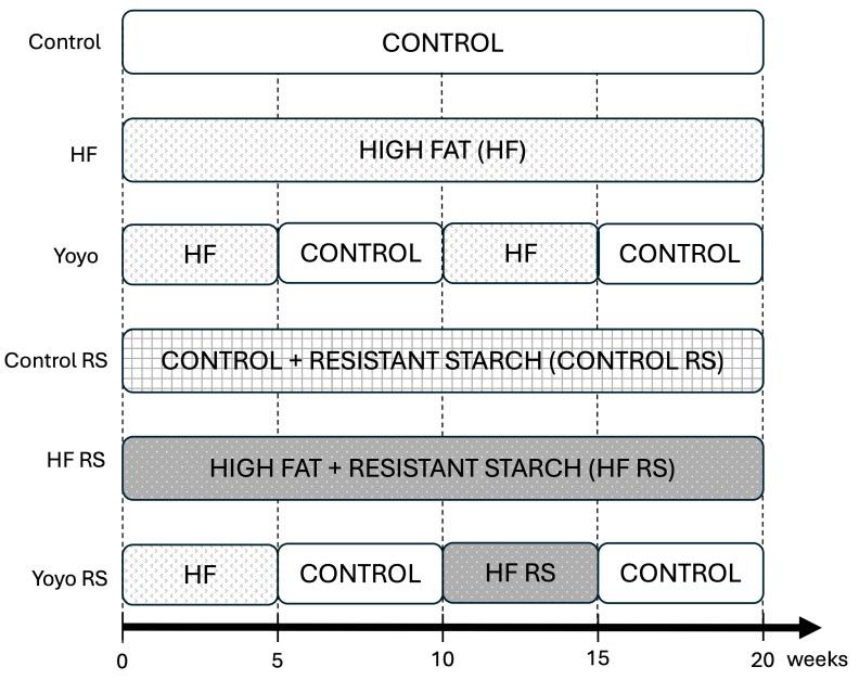 https://cdn.ncbi.nlm.nih.gov/pmc/blobs/6bd7/11644255/0359a322150c/nutrients-16-04216-g001.jpg