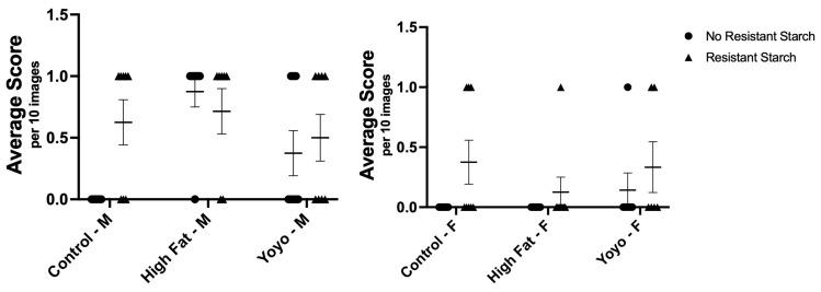 https://cdn.ncbi.nlm.nih.gov/pmc/blobs/6bd7/11644255/531771c9ac40/nutrients-16-04216-g003.jpg