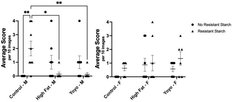 https://cdn.ncbi.nlm.nih.gov/pmc/blobs/6bd7/11644255/61b268306032/nutrients-16-04216-g007.jpg