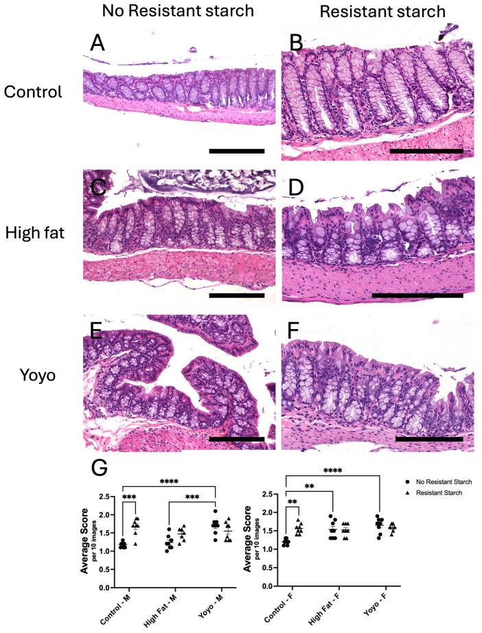 https://cdn.ncbi.nlm.nih.gov/pmc/blobs/6bd7/11644255/66ebbb94c3d0/nutrients-16-04216-g006.jpg