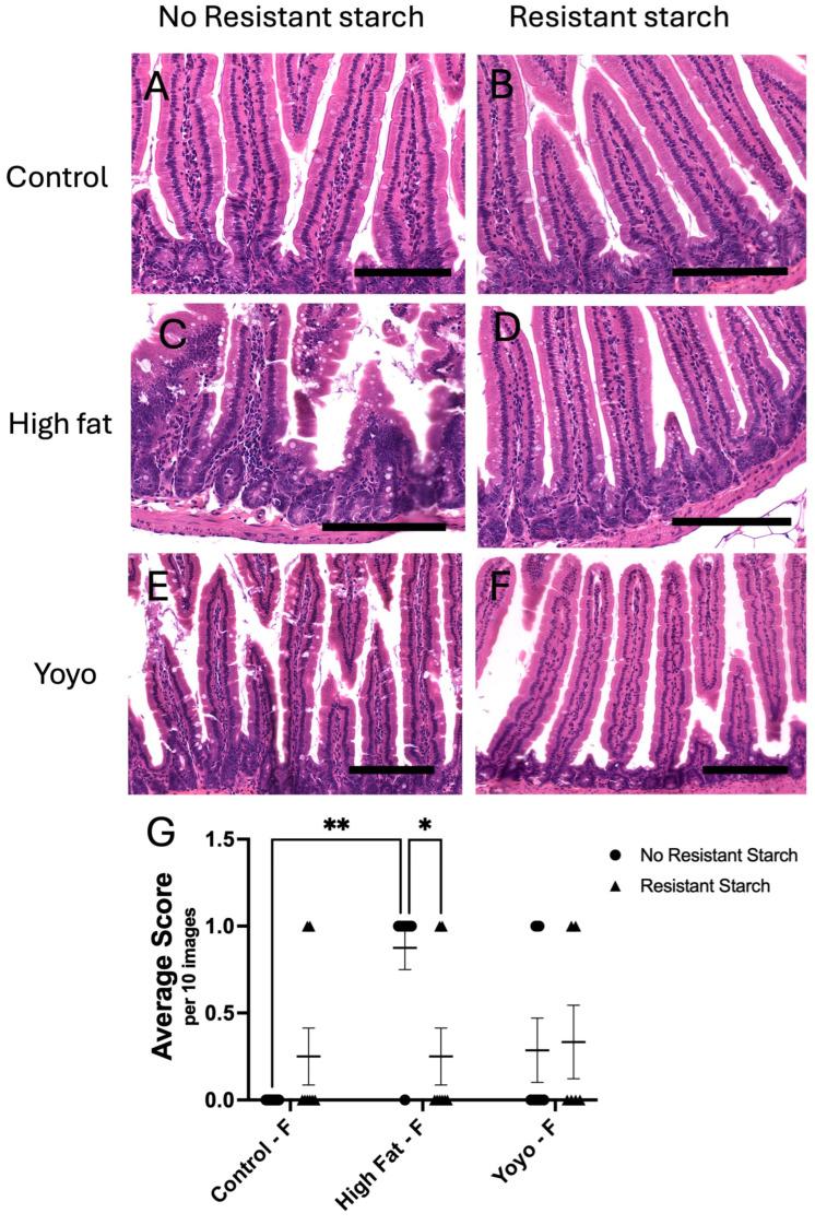 https://cdn.ncbi.nlm.nih.gov/pmc/blobs/6bd7/11644255/8dcf4d551864/nutrients-16-04216-g005.jpg
