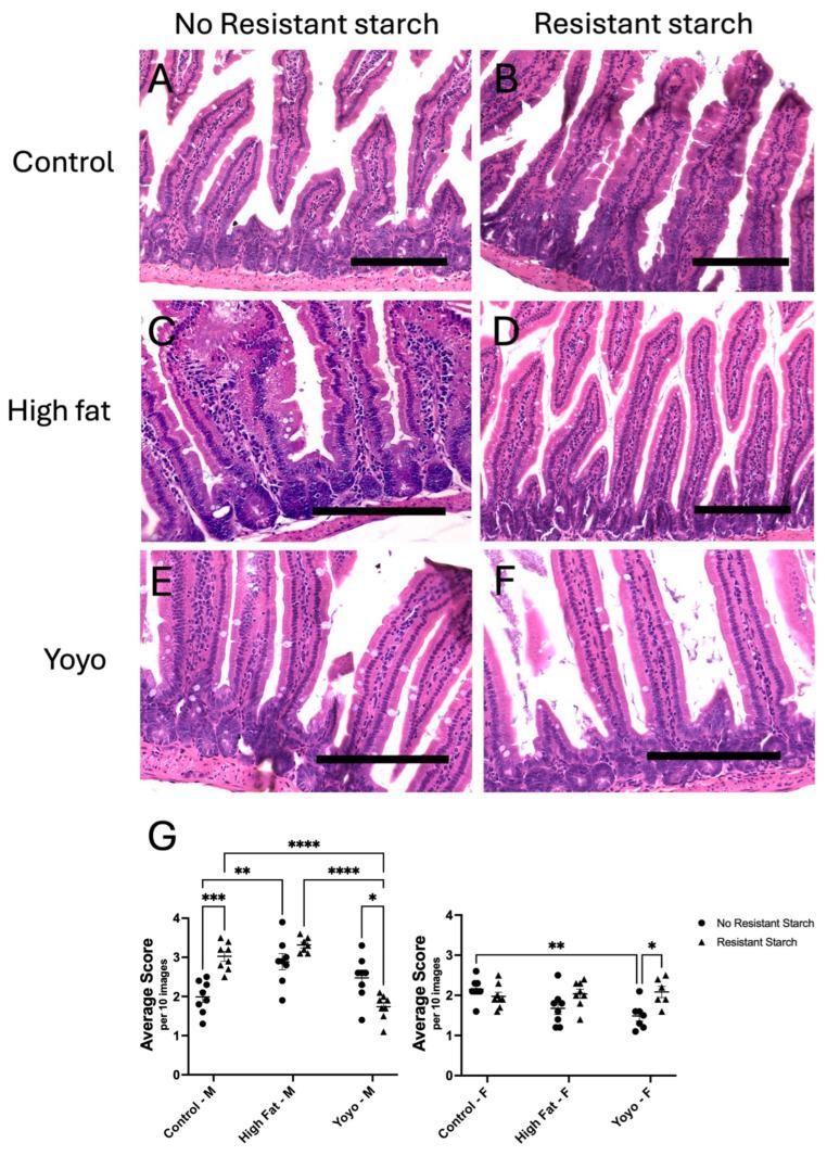 https://cdn.ncbi.nlm.nih.gov/pmc/blobs/6bd7/11644255/df95dff57e00/nutrients-16-04216-g002.jpg