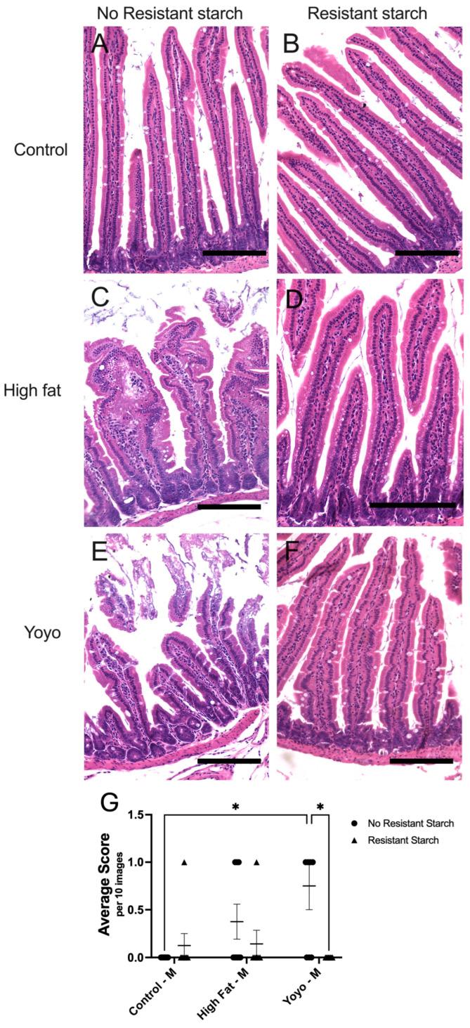 https://cdn.ncbi.nlm.nih.gov/pmc/blobs/6bd7/11644255/fe9fc4b3fd76/nutrients-16-04216-g004.jpg
