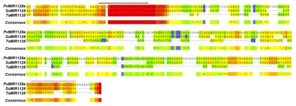 https://cdn.ncbi.nlm.nih.gov/pmc/blobs/6bdc/3017846/4703926bafc2/1471-2229-10-260-2.jpg